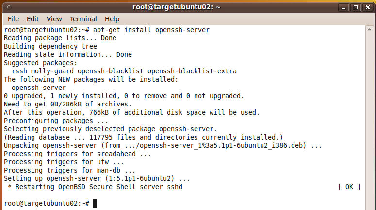 The above command installs openssh-server (a.k.a, sshd).